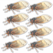 Brood X Periodical Cicada Stickers: 8 pro Blatt Aufkleber (Vorderseite)