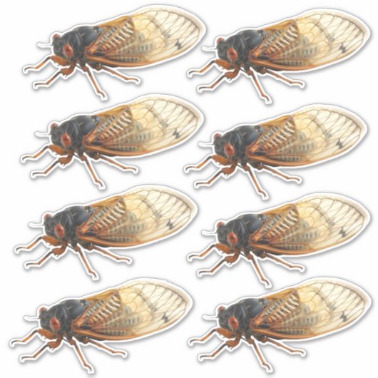 Brood X Periodical Cicada Stickers: 8 pro Blatt Aufkleber (Vorderseite)