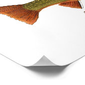 Brook Trout Art Poster (Ecke)