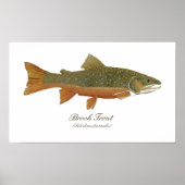 Brook Trout Art Poster (Vorne)