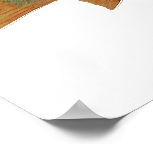 Brook Trout Art Poster (Ecke)