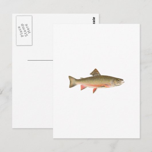 Brook Trout Art Postkarte (Vorne/Hinten)