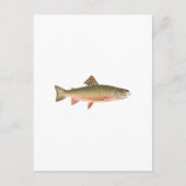 Brook Trout Art Postkarte (Vorderseite)