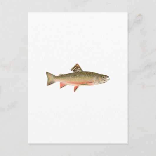 Brook Trout Art Postkarte (Vorderseite)