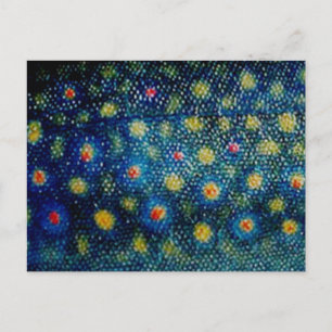 Brook Trout by PatternWear© Postkarte