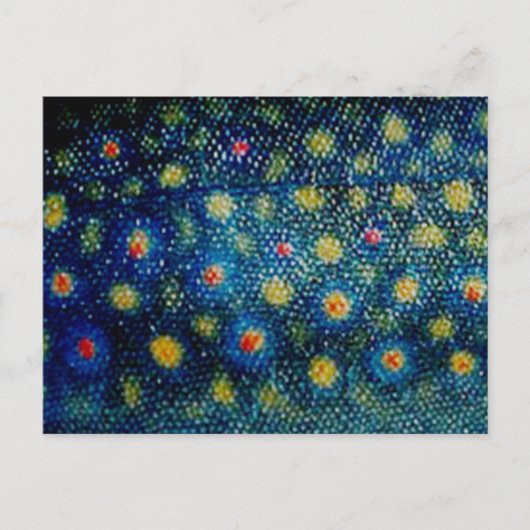 Brook Trout by PatternWear© Postkarte (Vorderseite)