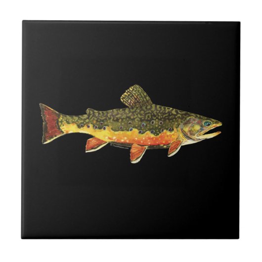Brook Trout Fischmalerei Fliese (Vorderseite)