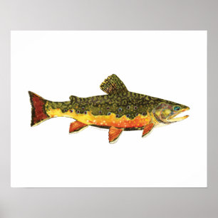 Brook Trout Fischmalerei Poster