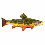 Brook Trout Fish Painting Fotoskulptur Schlüsselanhänger<br><div class="desc">BROOK TROUT MALERIEREN. Nur der Fisch, der ganze Fisch, und nichts als der Fisch. Dieses Design zeigt die wilde Ost-Bachforelle, salvelinus fontinalis fontinalis, in reichen Farben und schönen Mustern, genau wie die Natur es gemalt. Die Kunst stammt aus einem original Aquarellbild von Mr. Trout Whiskers. Für diejenigen, die Liebe Angeln,...</div>