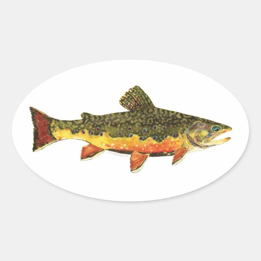 Brook Trout Fish Painting Ovaler Aufkleber (Vorderseite)