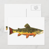 Brook Trout Fish Painting Postkarte (Vorne/Hinten)