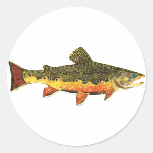 Brook Trout Fish Painting Runder Aufkleber (Vorderseite)