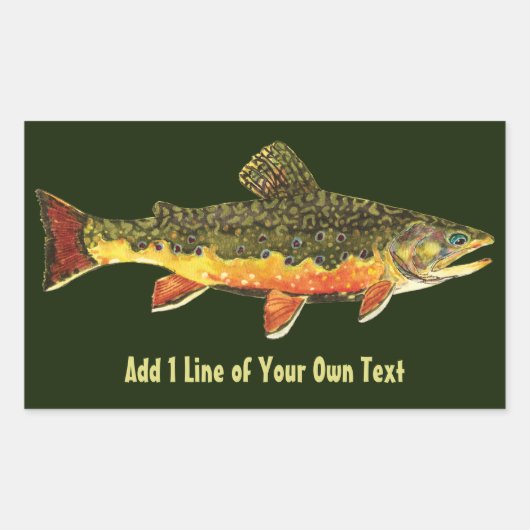 Brook Trout Fisherman Rechteckiger Aufkleber (Vorderseite)