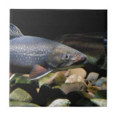 Brook Trout Fliese (Vorderseite)