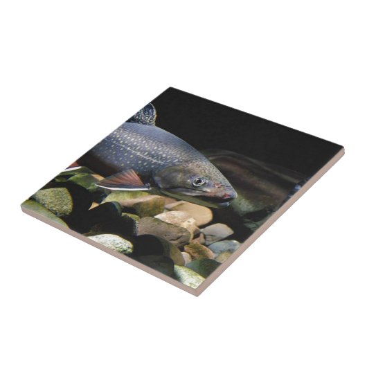 Brook Trout Fliese (Seite)