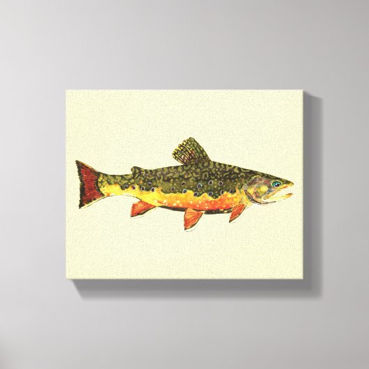 Brook Trout Leinwanddruck (Vorderseite)
