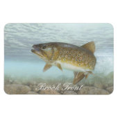 Brook Trout Painting Magnet (Horizontal)