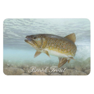 Brook Trout Painting Magnet