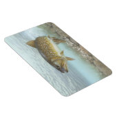 Brook Trout Painting Magnet (Rechte Seite)
