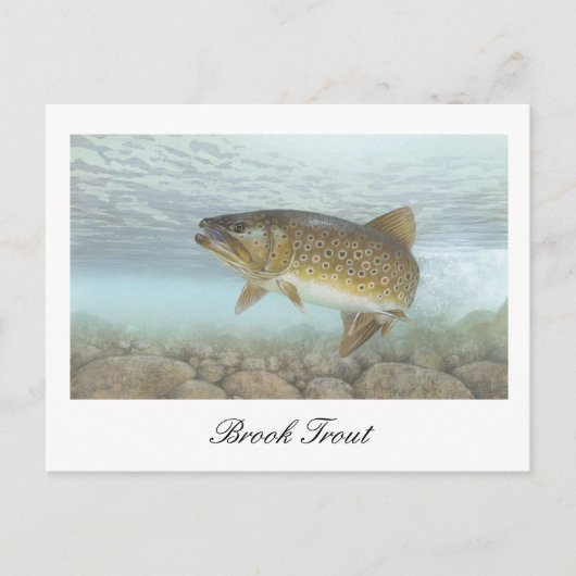 Brook Trout Painting Postcard Postkarte (Vorderseite)