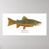 Brook Trout Poster (Vorne)