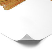 Brook Trout Poster (Ecke)