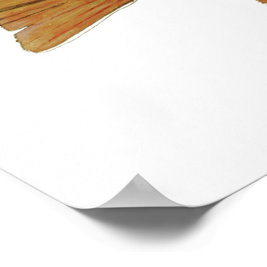 Brook Trout Poster (Ecke)