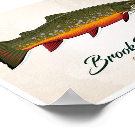 Brook Trout Poster (Ecke)
