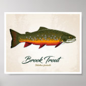 Brook Trout Poster (Vorne)