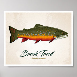Brook Trout Poster