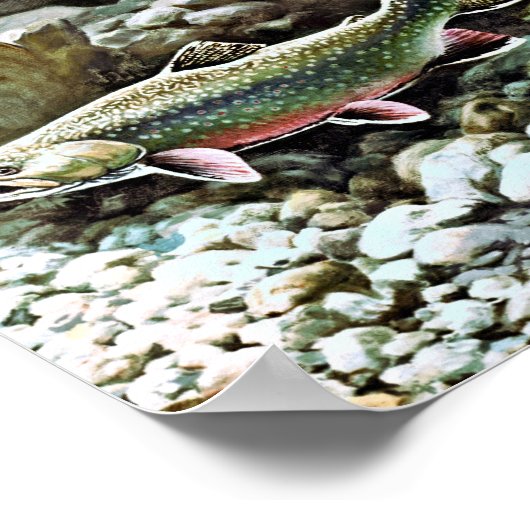 Brook Trout Poster (Ecke)
