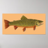 Brook Trout Poster (Vorne)