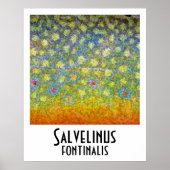 Brook Trout Poster (Vorne)