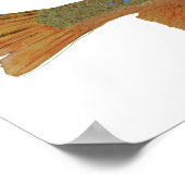 Brook Trout Poster (Ecke)