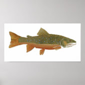 Brook Trout Poster (Vorne)