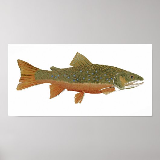 Brook Trout Poster (Vorne)