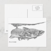 Brook Trout Postkarte (Vorne/Hinten)