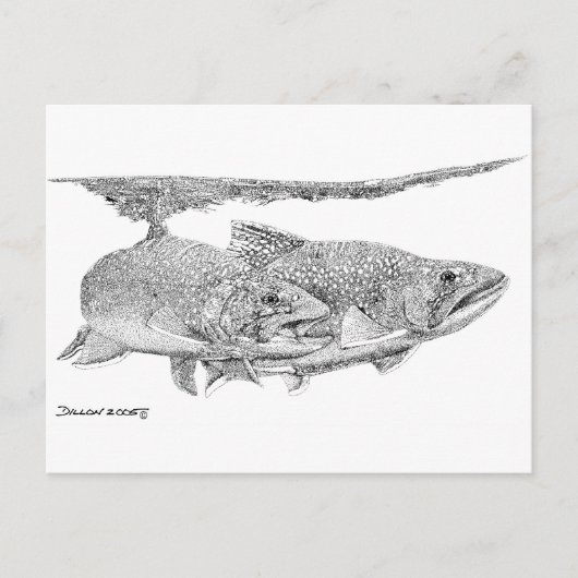 Brook Trout Postkarte (Vorderseite)