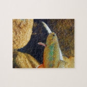Brook Trout Puzzle (Horizontal)