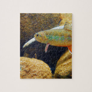 Brook Trout Puzzle