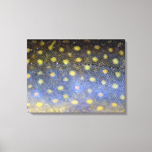 Brook Trout Scales Fotografie Leinwanddruck (Vorderseite)