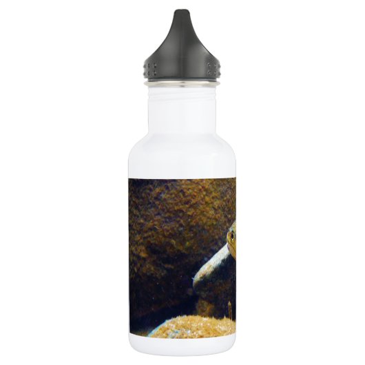 Brook Trout Trinkflasche (Links)