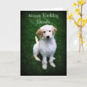 Brooke Happy Birthday Golden Doodle Puppy Karte (Gelbe Blume)