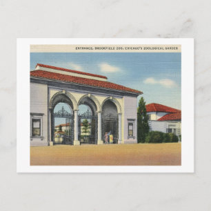 Brookfield Zoo, Chicago Zoologischer Garten Vintag Postkarte