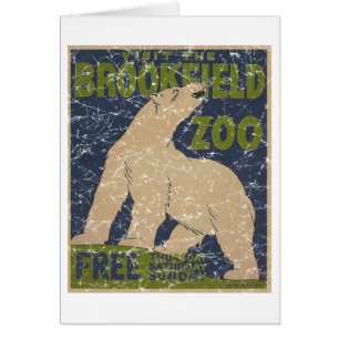 Brookfield Zoo-Eisbär-abgenutzt
