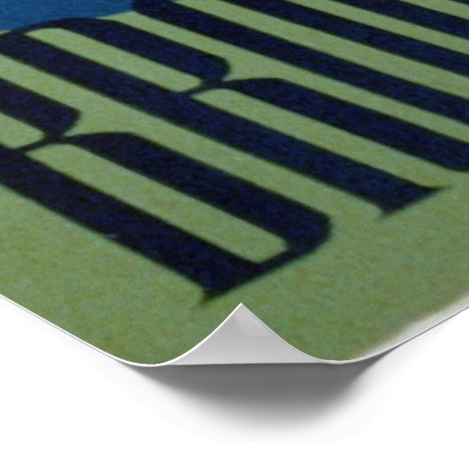 Brookfield Zoo Panad Poster (Ecke)