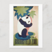 Brookfield Zoo-Panda Postkarte (Vorderseite)