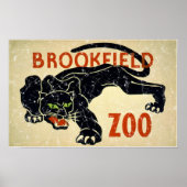 Brookfield Zoo-Panther in Not Poster (Vorne)