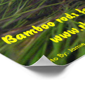 Brookie Poster (Ecke)