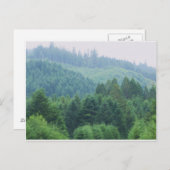 Brookings Harbor, Oregon Postkarte (Vorne/Hinten)